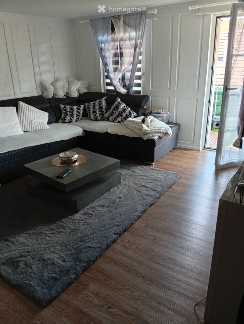 Modern living room with a dark grey sectional sofa, throw pillows, a grey shaggy rug, and a wooden coffee table with a decorative bowl. A small dog is sitting on the sofa.