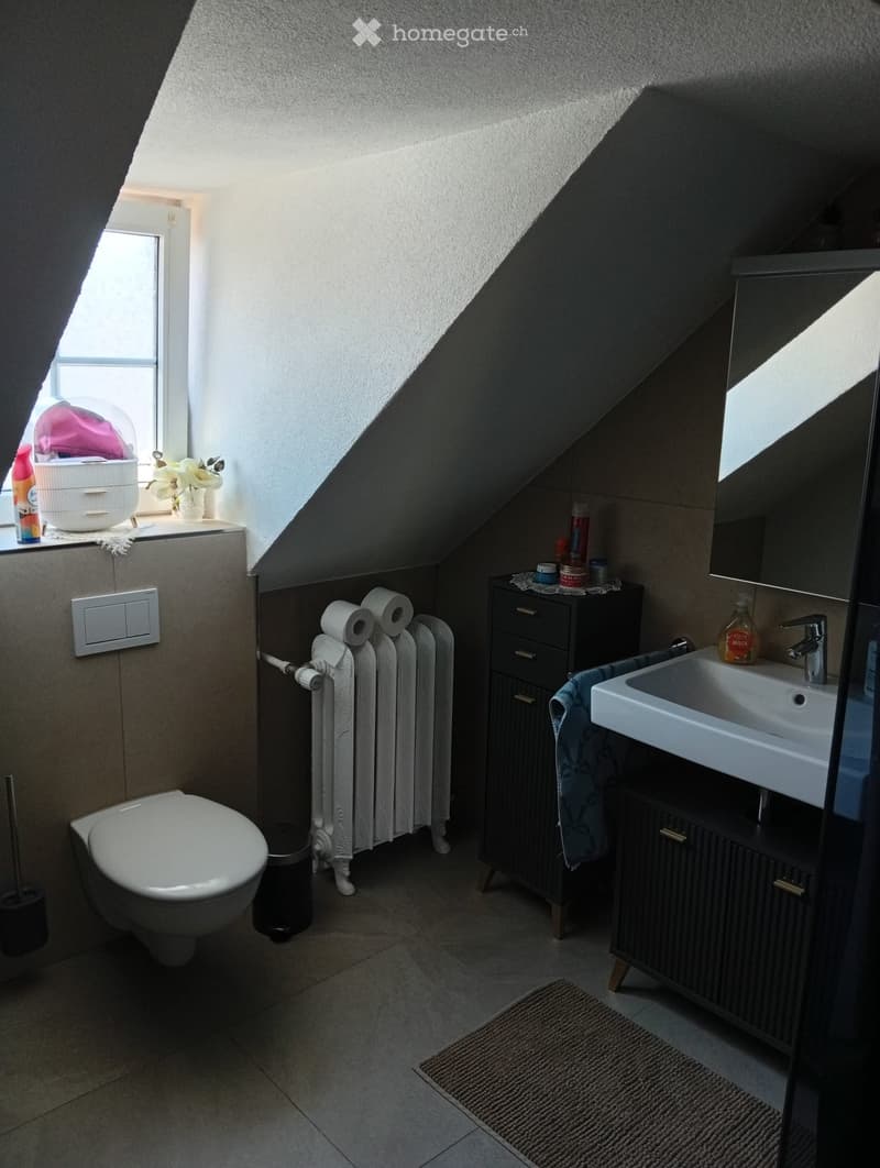 Modern bathroom with a toilet, sink, radiator, and cabinet. Features a large mirror, a towel, a flower vase, and a rug on the floor.