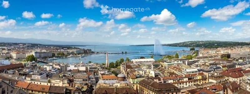 A panoramic view of a cityscape with a lake, a prominent fountain, and a bridge in the distance, surrounded by buildings and greenery.