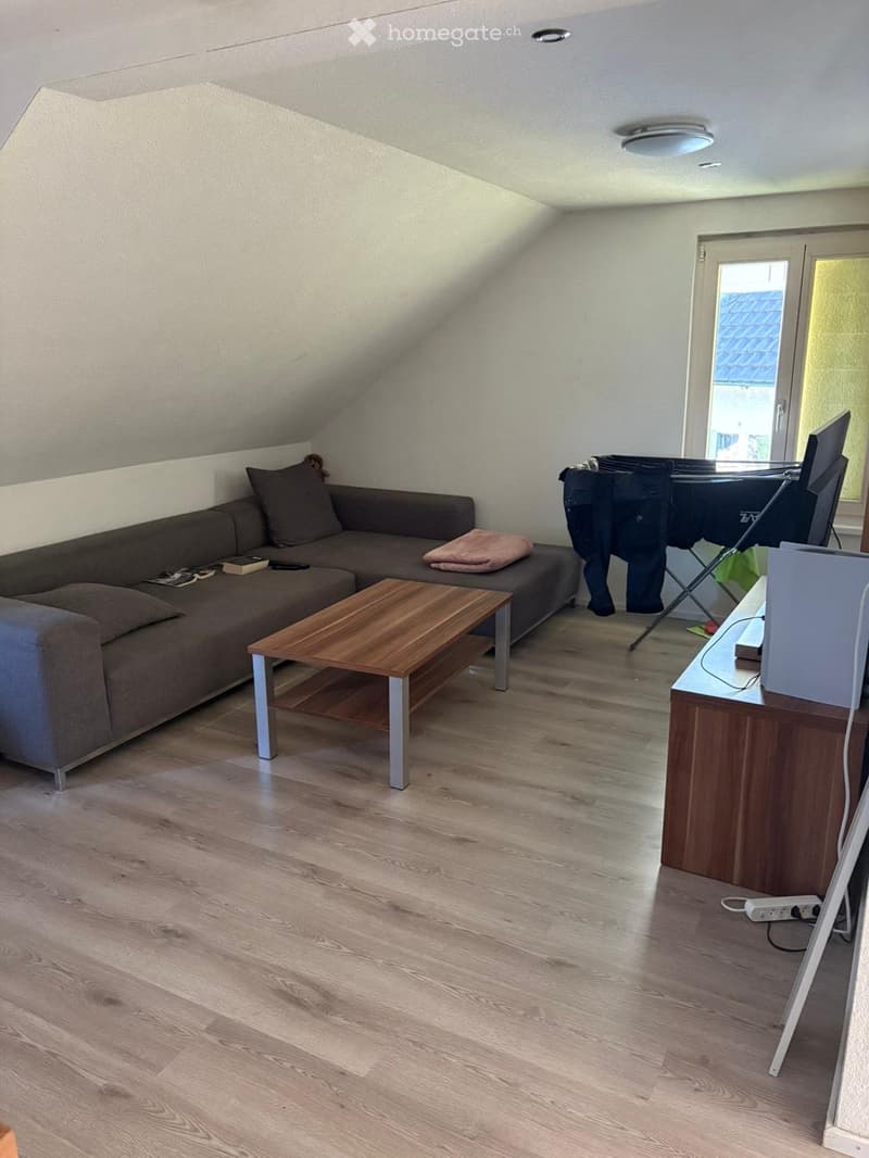Living room with wooden flooring, a grey sofa, a wooden coffee table, a TV stand with a screen, and an ironing board with clothes.