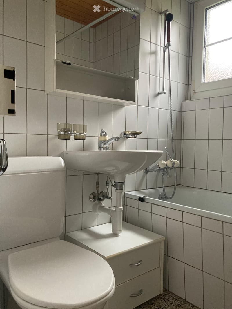 Bathroom with a toilet, sink, bathtub, and mirror. The sink has a modern faucet and is mounted on a small cabinet. The bathtub has a handheld showerhead attached to the wall.