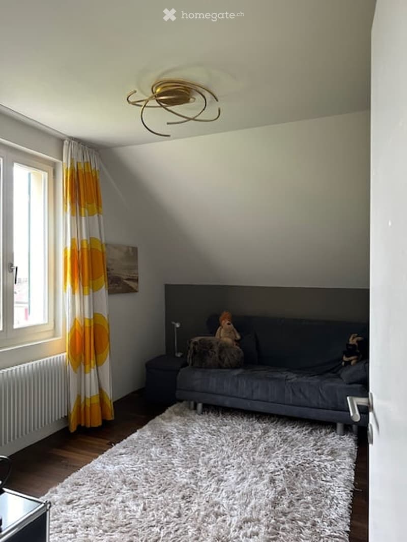 A room with a couch, a white rug, a lamp, a radiator, a window with curtains, and a picture on the wall.