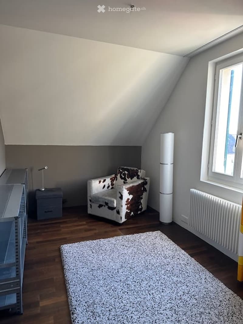 A room with a white rug, a cowhide chair, a white lamp, a white radiator, a gray cabinet, and a window.