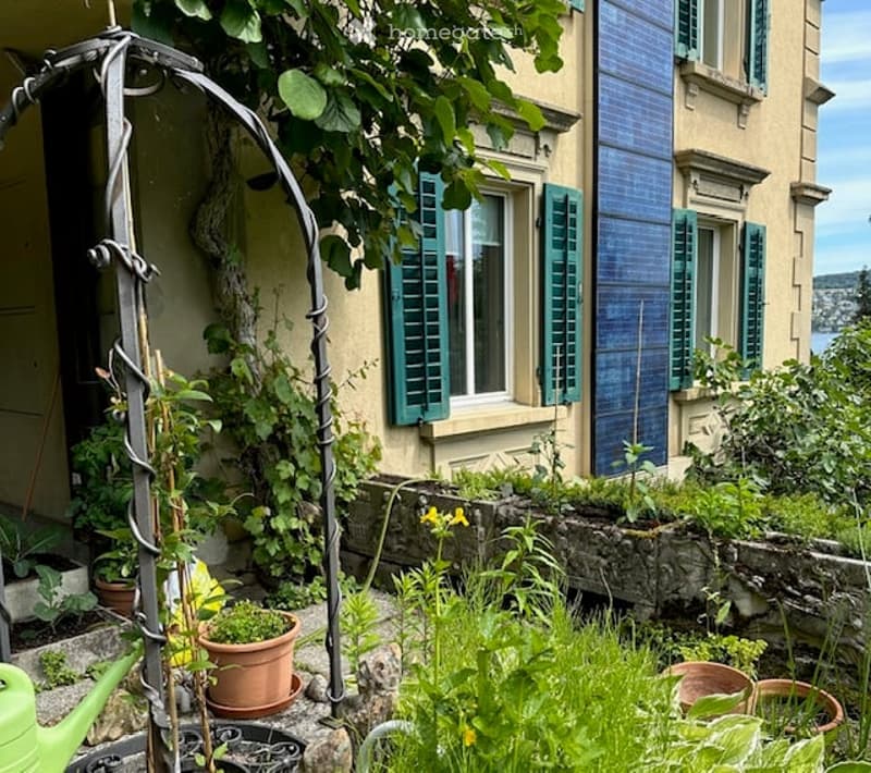 Garden with plants, flowers, and a green watering can, solar panels on the building