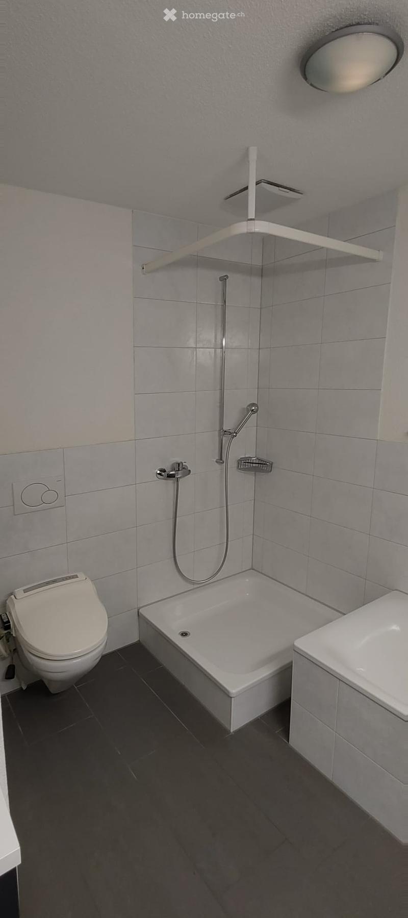 Modern bathroom with a toilet, bathtub, sink, and a handheld showerhead mounted on the wall. The walls are tiled in light grey, and the floor is dark grey.