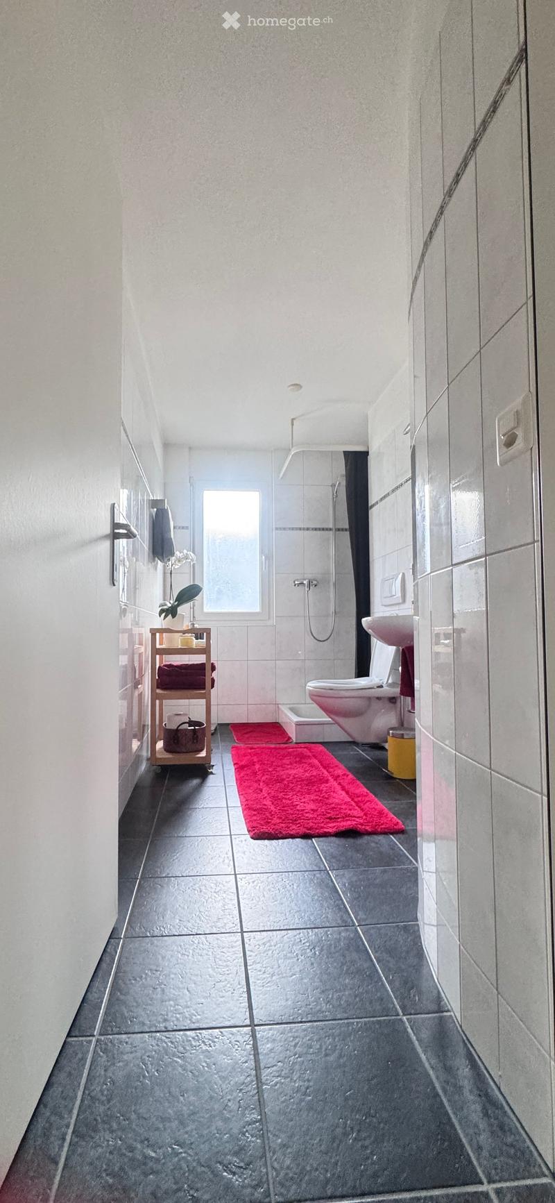 Modern bathroom with dark tiled floor, white walls, a toilet, sink, shower area, a small shelf with towels and a plant, and red bathmats.