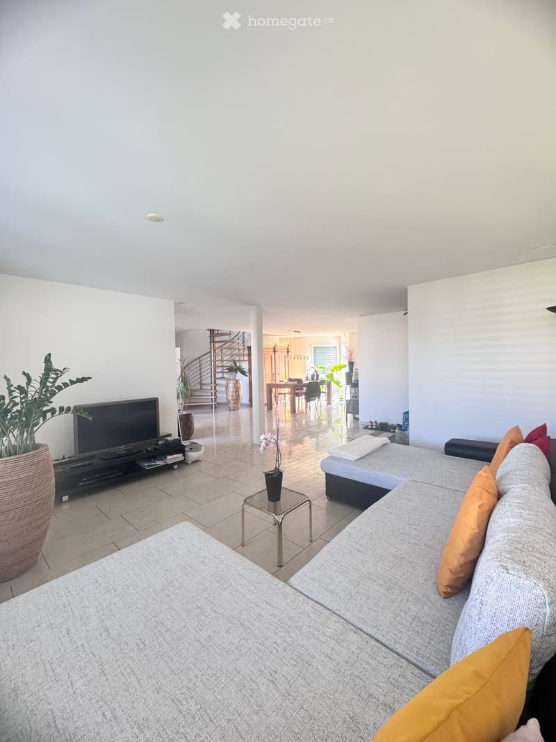 Modern living room with a grey sectional sofa, coffee table, TV, dining area with table and chairs, and decorative plants.