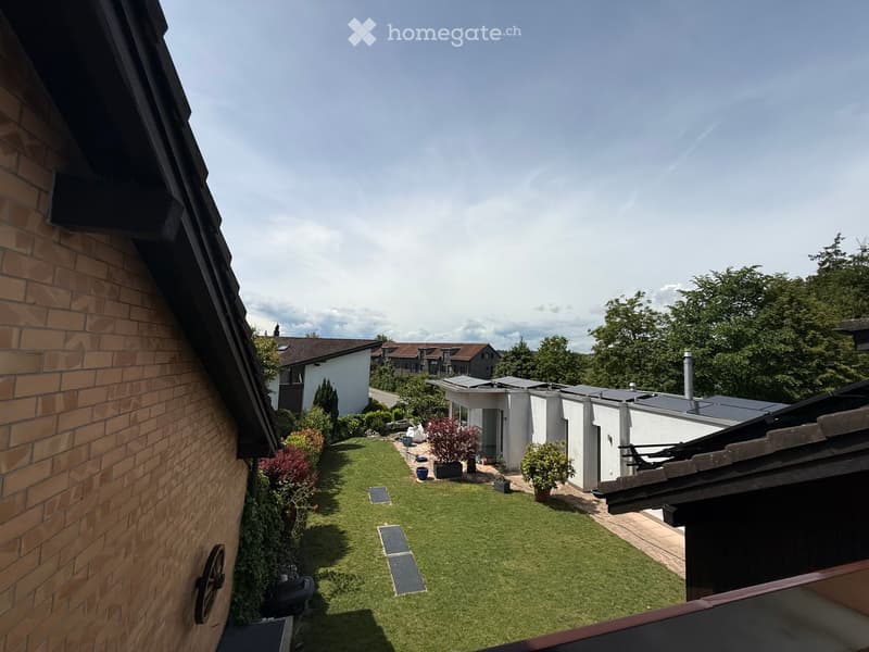 Well-maintained garden with green lawn, small plants, and a modern house in the background.