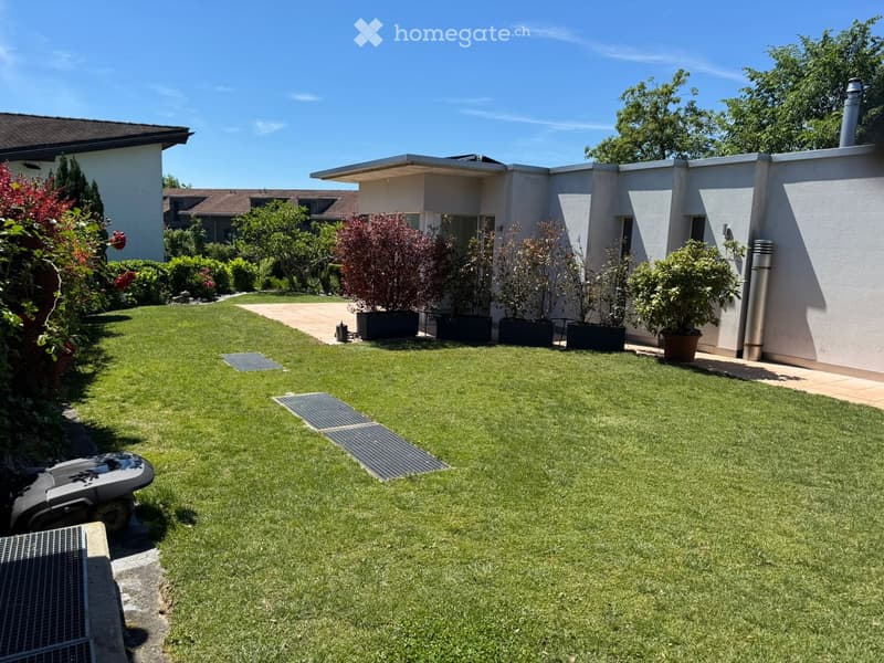 Well-maintained garden with a neatly trimmed lawn, several potted plants, and a modern house in the background.