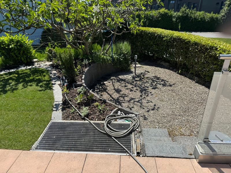 Well-maintained garden area with gravel, shrubs, a small tree, and a hose coiled on the ground. Includes a metal grate and a small concrete pathway.