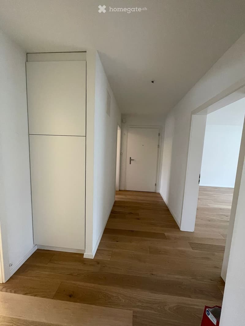 Empty hallway with wooden floor, white walls, and a white door.