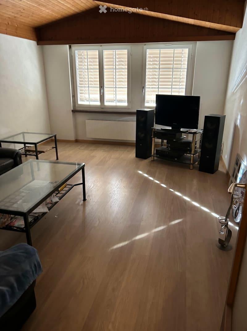 Modern living room with wooden flooring, large windows with blinds, a sofa, coffee tables, TV stand with speakers, and a radiator.