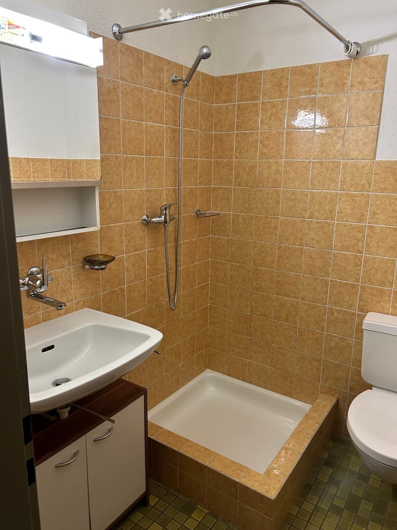 Bathroom with beige tiled walls, a white sink with a wooden cabinet, a bathtub, a toilet, and a showerhead with a handheld sprayer.