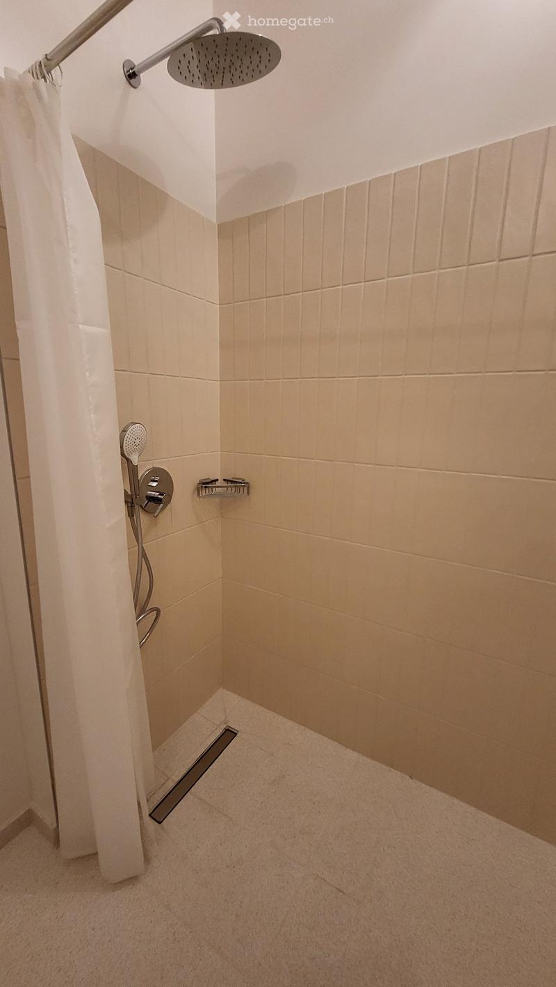 Modern shower area with a handheld showerhead, fixed showerhead, a white shower curtain, and a built-in shelf for toiletries.