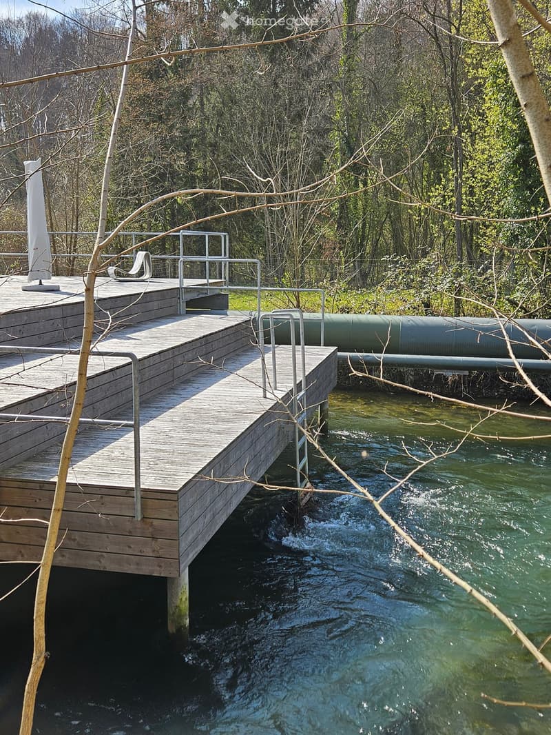 Wooden deck extending over a small stream with a railing and a lounge chair, surrounded by trees and greenery.