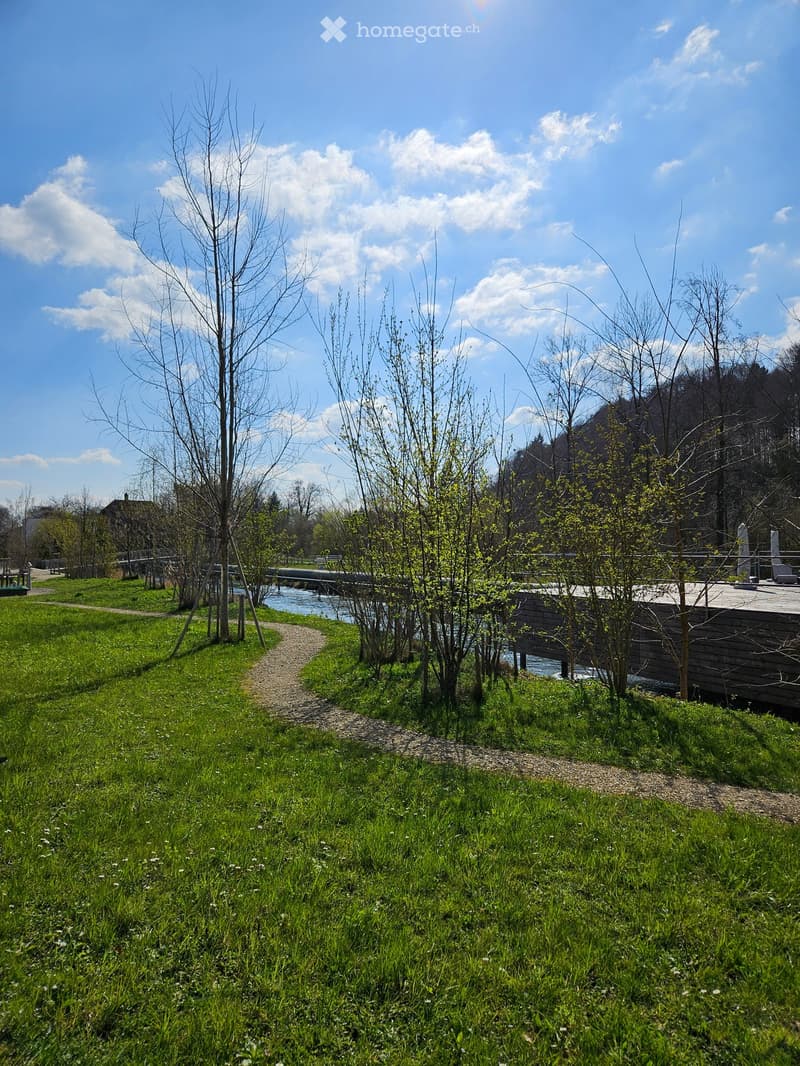 A serene garden area with a gravel path leading to a wooden deck beside a small stream, surrounded by young trees and lush green grass under a clear blue sky.