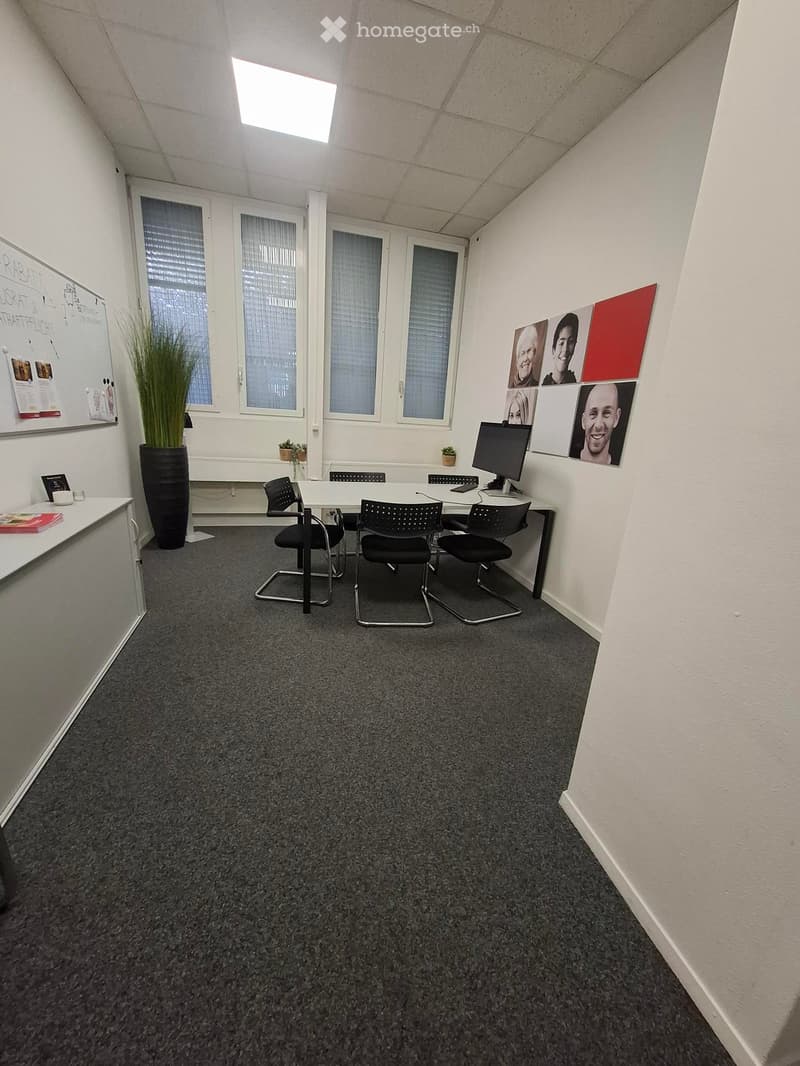 Office meeting room with a table, chairs, a screen, a potted plant, and a cup on a side table.