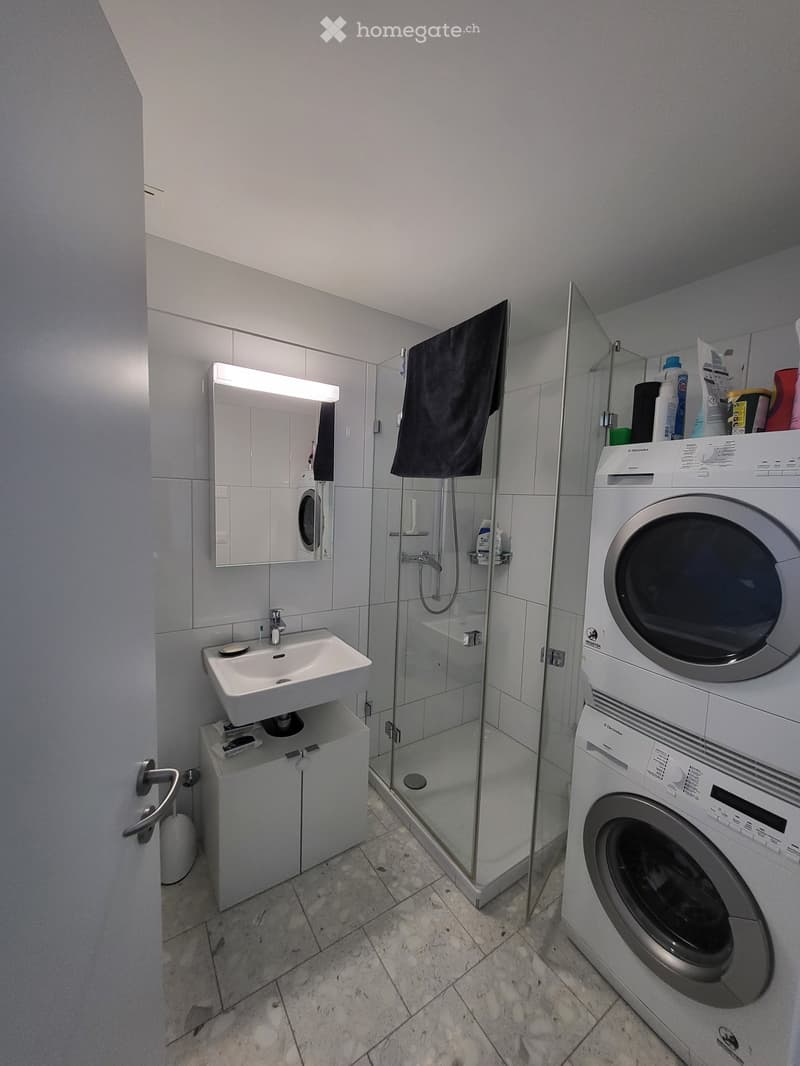 Modern bathroom with a sink, mirror, glass-enclosed shower, and a stacked washer/dryer unit.