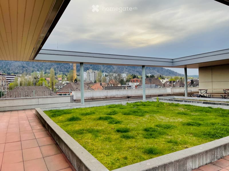 A modern rooftop terrace with a grassy area, tiled walkways, and a panoramic city view.