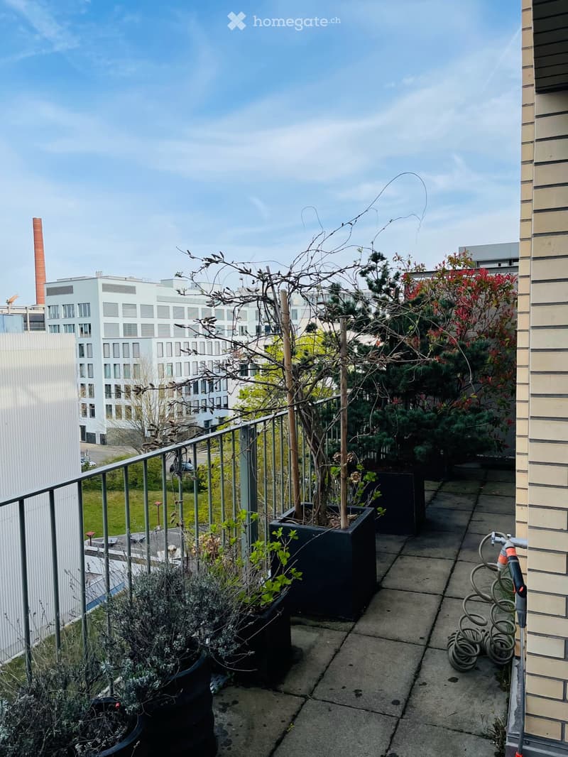 Balcony with potted plants, metal railing, and a view of surrounding buildings.