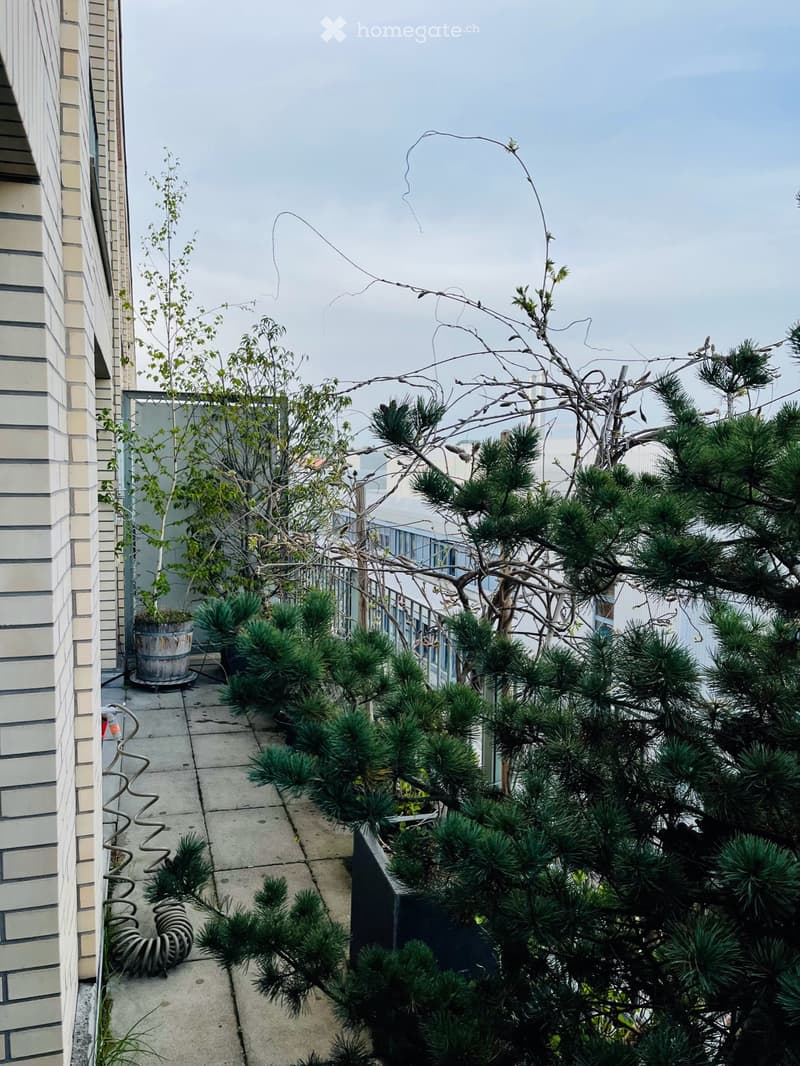 A small rooftop garden with various potted plants and trees, including conifers and shrubs, arranged on a concrete surface with a metal railing and a view of the cityscape.
