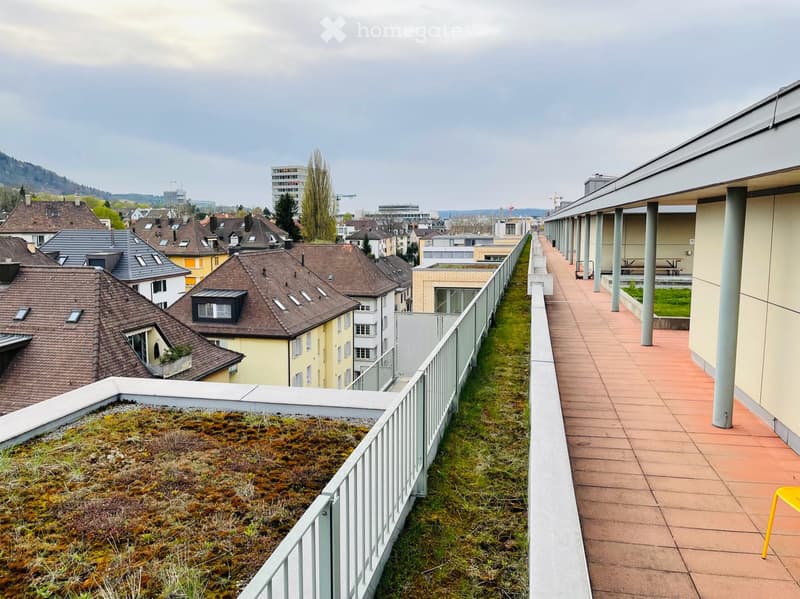A rooftop garden with a green moss-covered area, a paved walkway, and a view of surrounding buildings and hills.