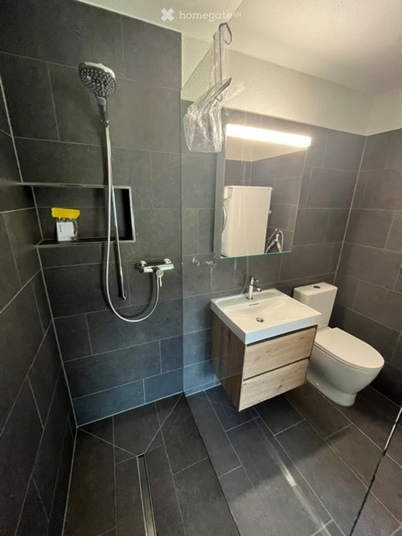 Modern bathroom with dark grey tiles, a white sink with a wooden cabinet, a toilet, a showerhead, and a mirror with built-in lighting.