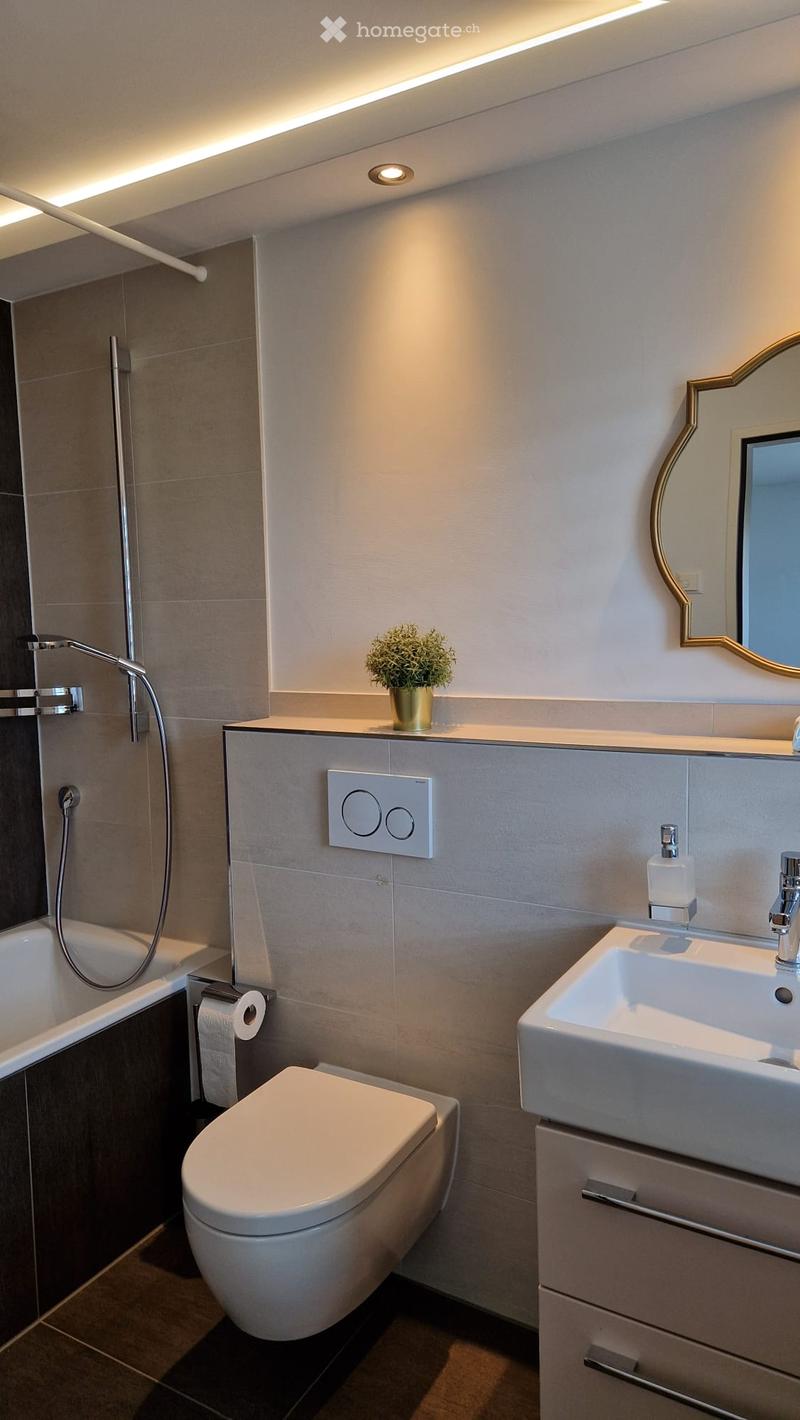 Modern bathroom with a bathtub, toilet, sink, and a small potted plant on the counter. Features a sleek, contemporary design with a built-in shower system and a decorative mirror.
