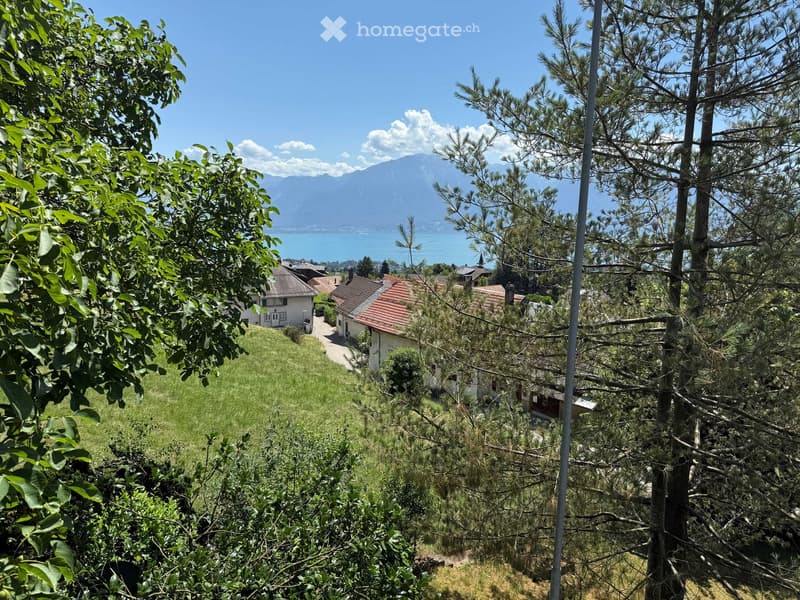 A scenic view of a hillside village with houses, surrounded by trees and a clear view of a lake and mountains in the background.