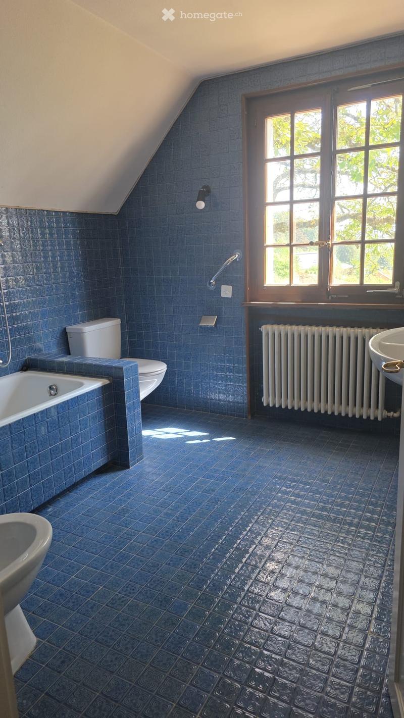 Bathroom with blue tiles, bathtub, toilet, sink, radiator, and window with view of greenery.
