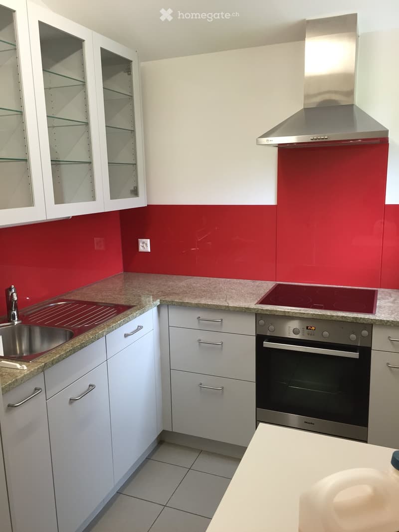 Kitchen: modern, white cabinets, granite countertops, red backsplash, stainless steel appliances, electric stove, extractor hood, sink with drainer