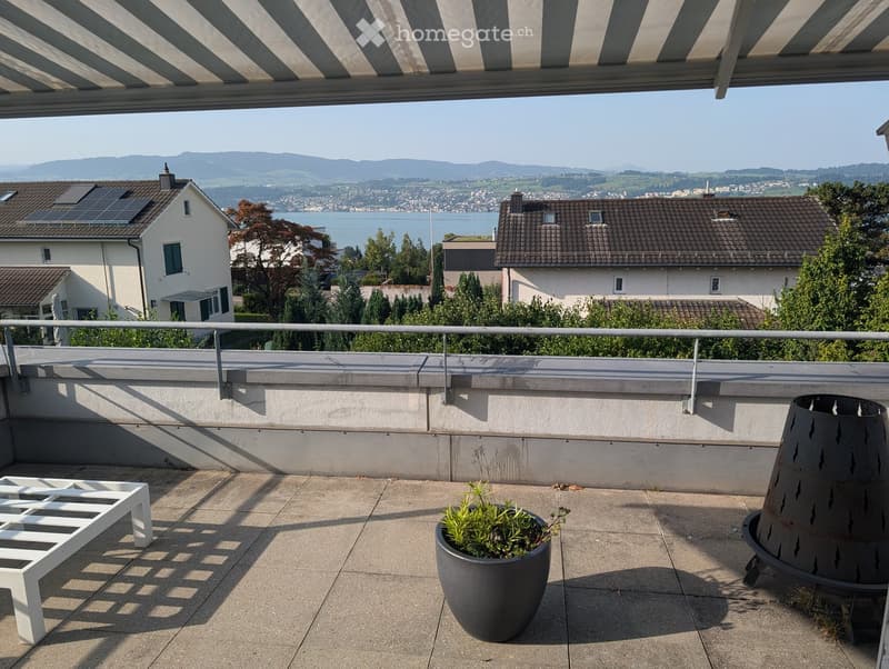 Balcony with a white chair, a large potted plant, and a modern railing, overlooking a scenic lake and mountains.