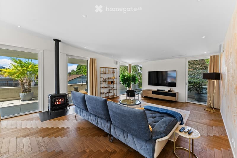 wooden floor, fireplace, couch, TV, sliding glass doors, balcony, potted plants