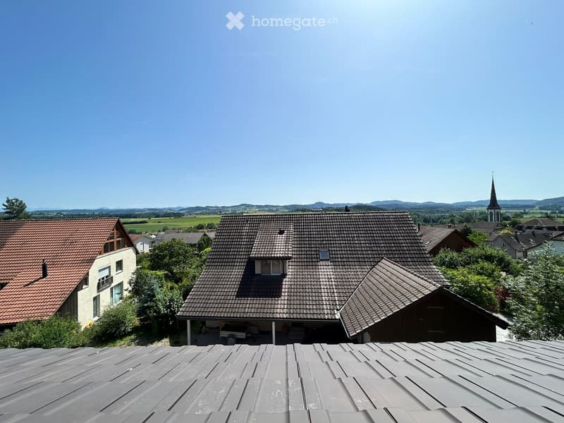 View from a rooftop showing several houses with tiled roofs, surrounded by greenery and distant hills under a clear blue sky.