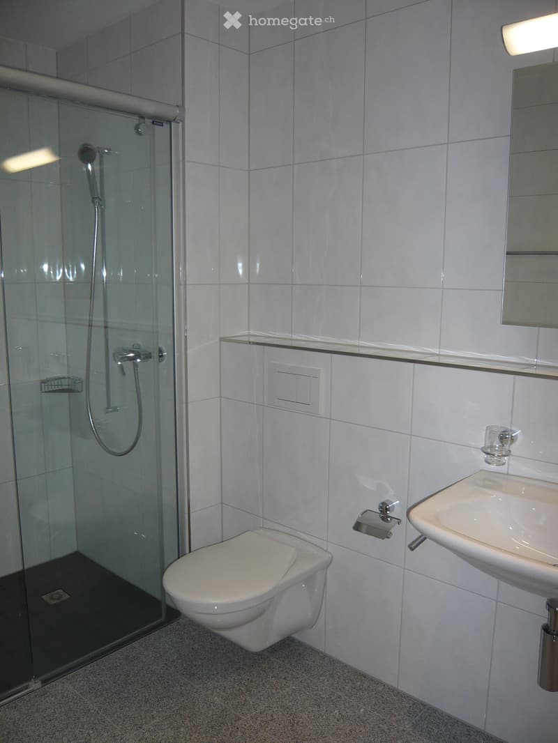 Modern bathroom with white tiled walls, a toilet, a sink, a mirror, a glass shelf, and a glass-enclosed shower area.