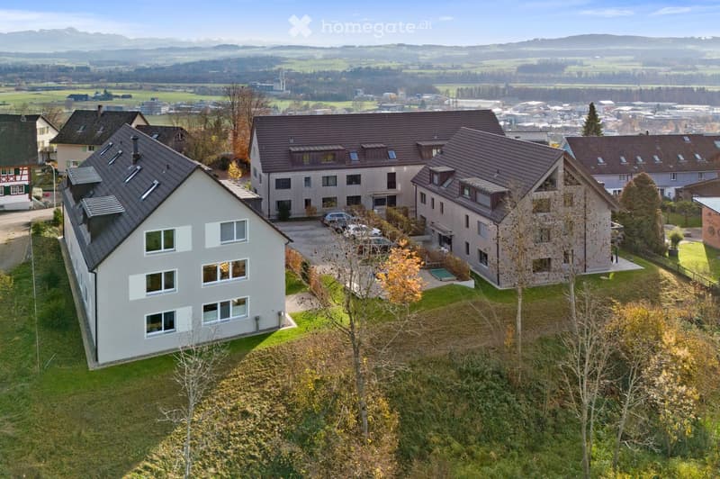 Aerial view of a residential area with multiple houses, surrounded by green fields and distant mountains.