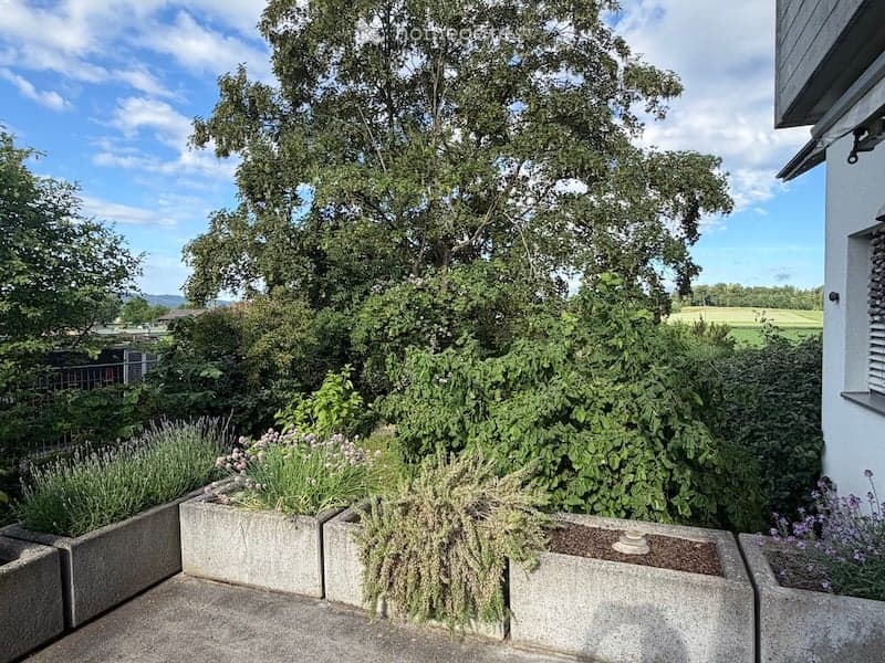 A well-maintained garden area with various plants and flowers in concrete planters, surrounded by trees and a clear blue sky.