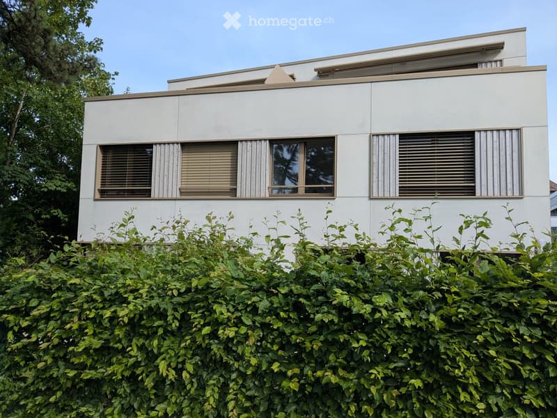 Modern two-story house with white facade, large windows with blinds, and a well-maintained hedge in front.