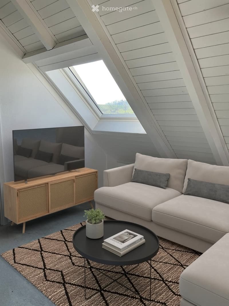 Living Room. Modern living room with a grey sectional sofa, a black coffee table, a flat-screen TV on a wooden stand, and a small potted plant. The room features a geometric patterned rug and a slanted wooden ceiling with skylights.