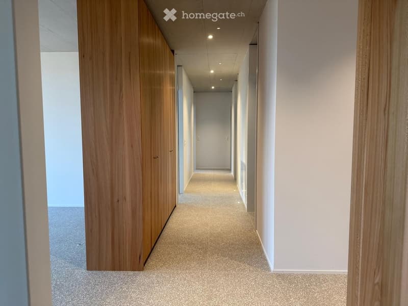 Modern hallway with light wooden paneling on one side, white walls on the other, and a neutral carpeted floor.