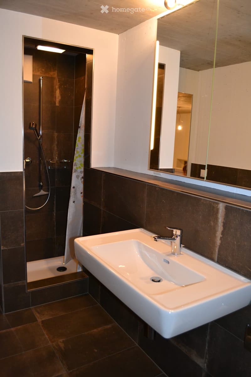 Modern bathroom with a white sink, chrome faucet, large mirror, and a separate shower area with a glass enclosure and a towel hanging on the side.