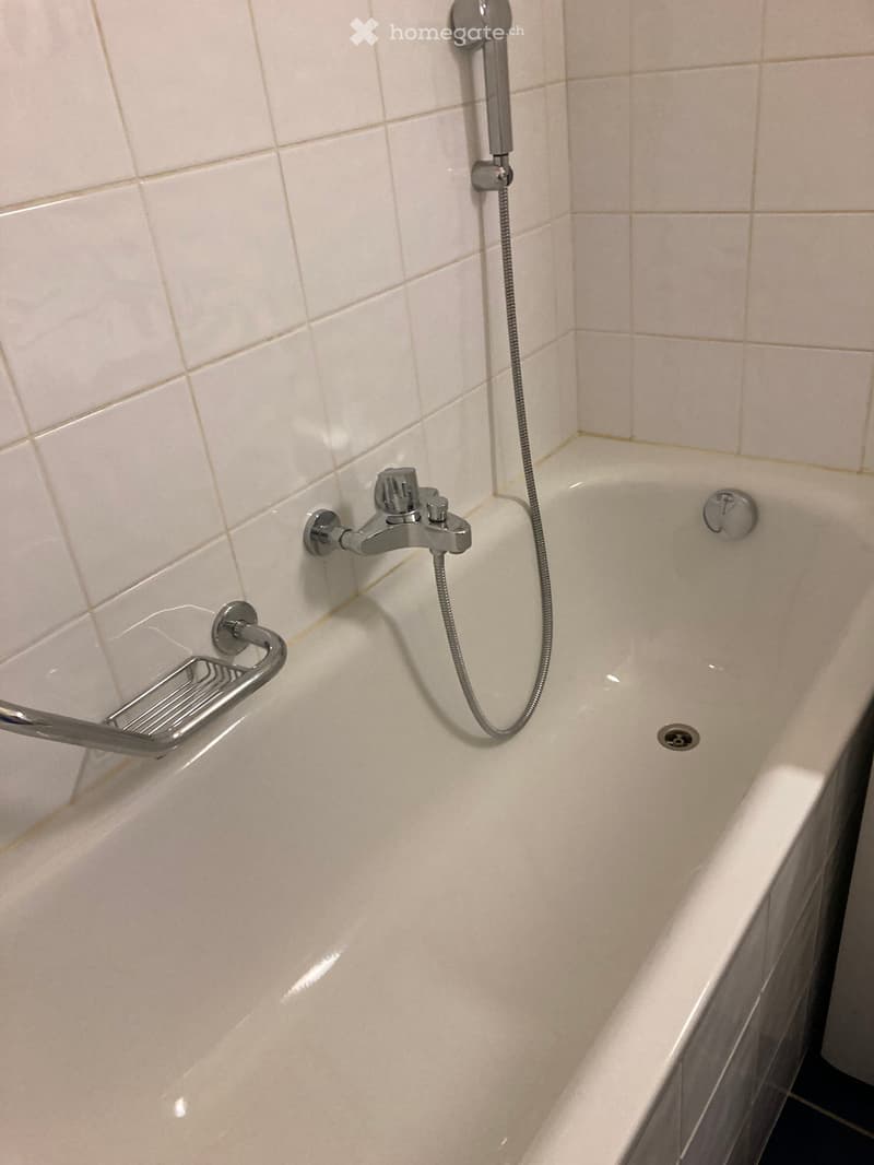 Bathtub with a modern faucet and handheld showerhead, accompanied by a handrail for safety.