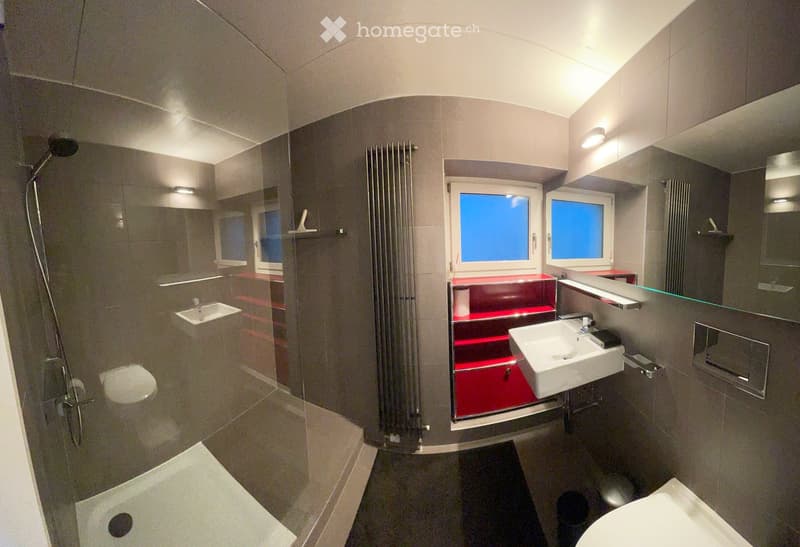 Modern bathroom with a glass-enclosed shower, two sinks, a toilet, and a radiator. The space features grey tiles, a large mirror, and two windows with blue-tinted glass.