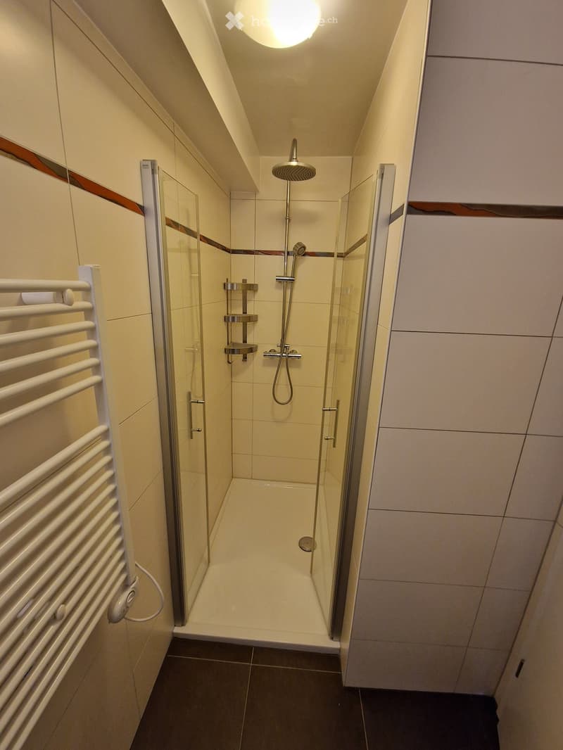 Modern bathroom with a glass-enclosed shower, a towel rack, and built-in cabinets.