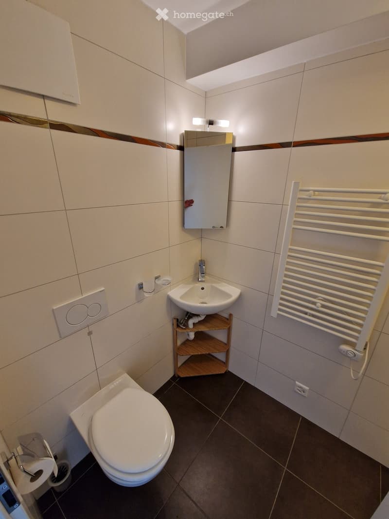 Modern bathroom with white tiles, a toilet, a sink with a mirror, a towel rack, and a small wooden shelf under the sink.