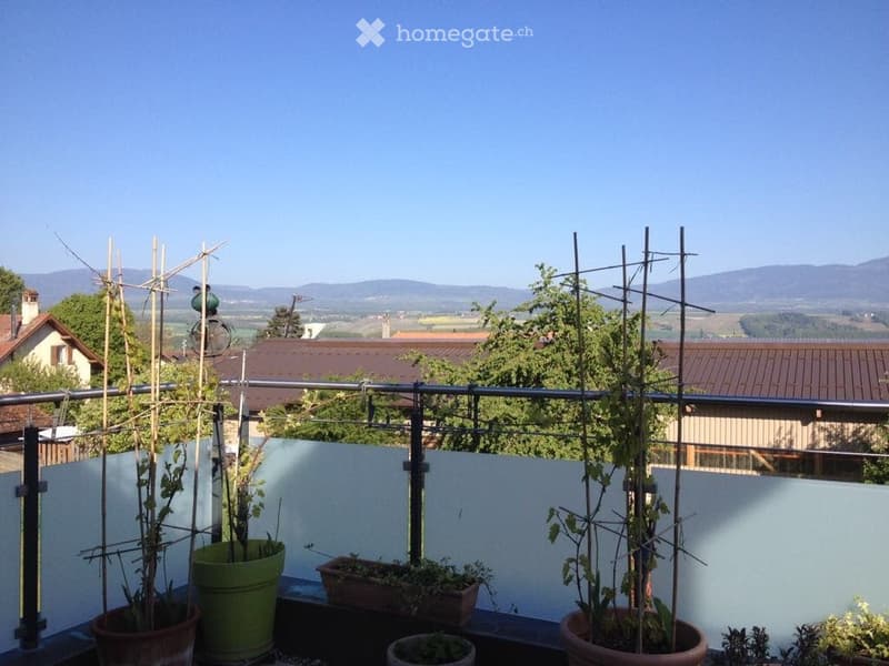 Balcony with metal railing, potted plants, and scenic mountain view in the background.