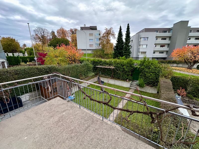 Terrace with metal railings, concrete floor, hanging grapevines, small wooden shed in corner, adjacent garden with shrubs and path, distant buildings and trees
