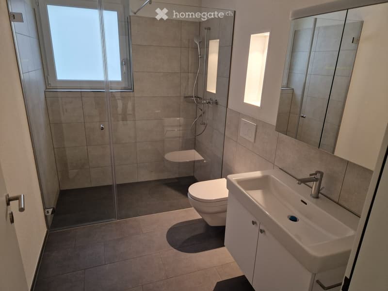 Modern bathroom with a glass-enclosed shower, toilet, sink, and large mirror. Features tiled walls and floor, and a window providing natural light.