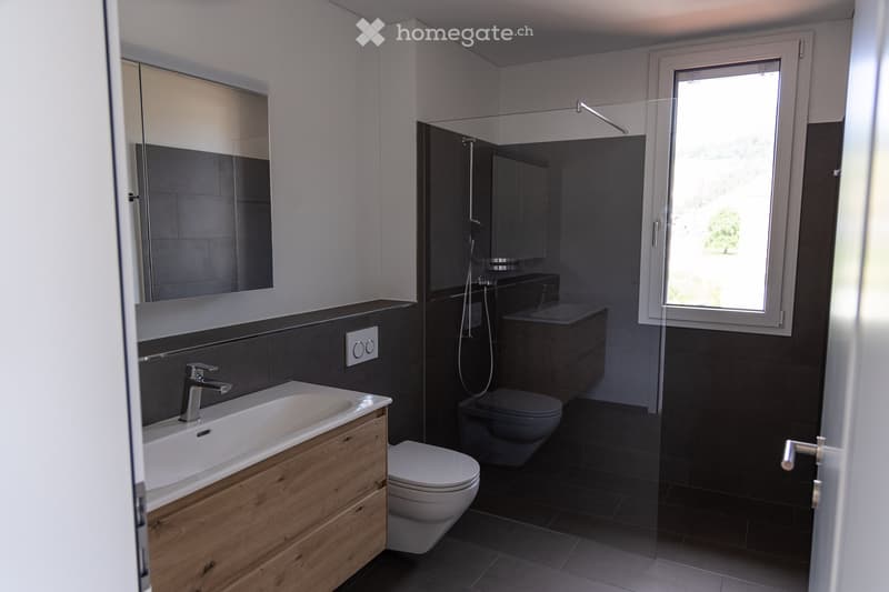 Modern bathroom with dark tiles, a wooden vanity with a sink, a toilet, a large mirror, and a glass-enclosed shower area.