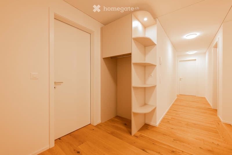 Modern hallway with light wooden flooring, white walls, built-in shelving unit, and recessed ceiling lighting.